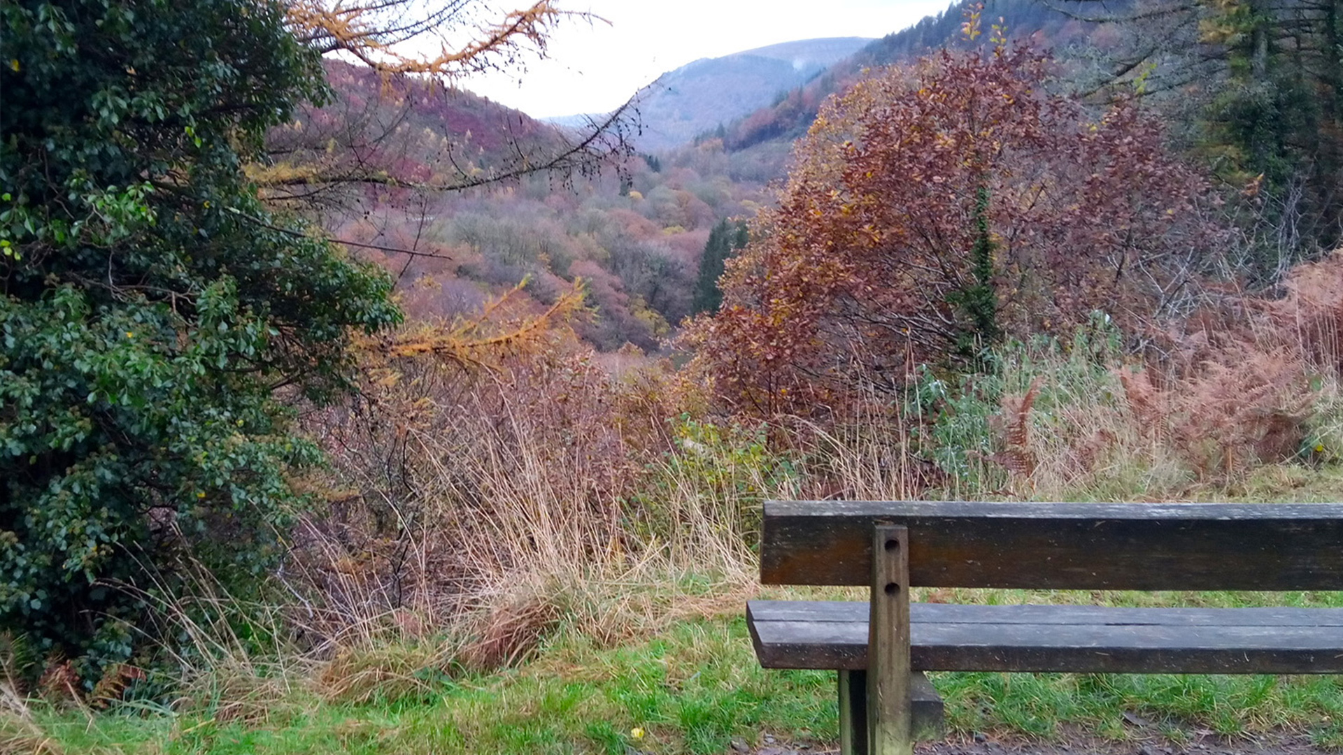 Looking down the Afen Valley in Autumn